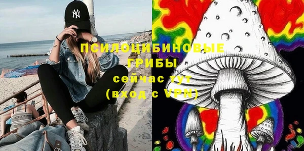 винт Алексин