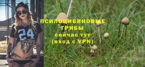 каннабис Алексеевка