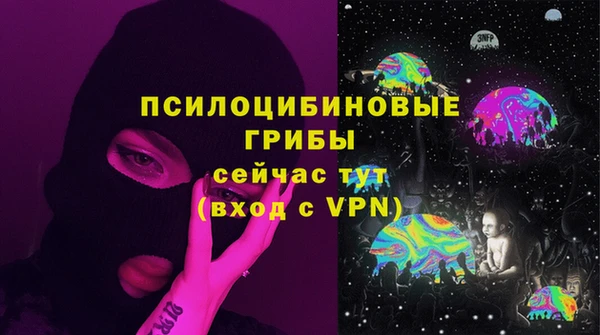 винт Алексин