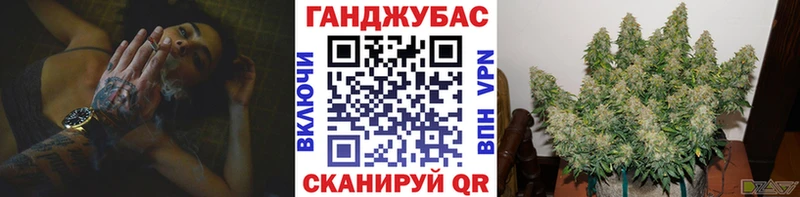ссылка на мегу как войти  Муром  Бошки марихуана ГИДРОПОН 